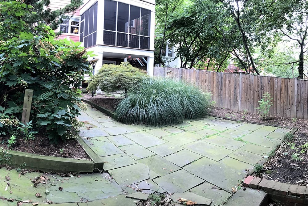 A backyard garden with a stone-paved patio, surrounded by lush greenery including bushes and tall ornamental grass. A wooden fence lines the back of the garden, and a screened porch from the adjacent house is visible in the background.