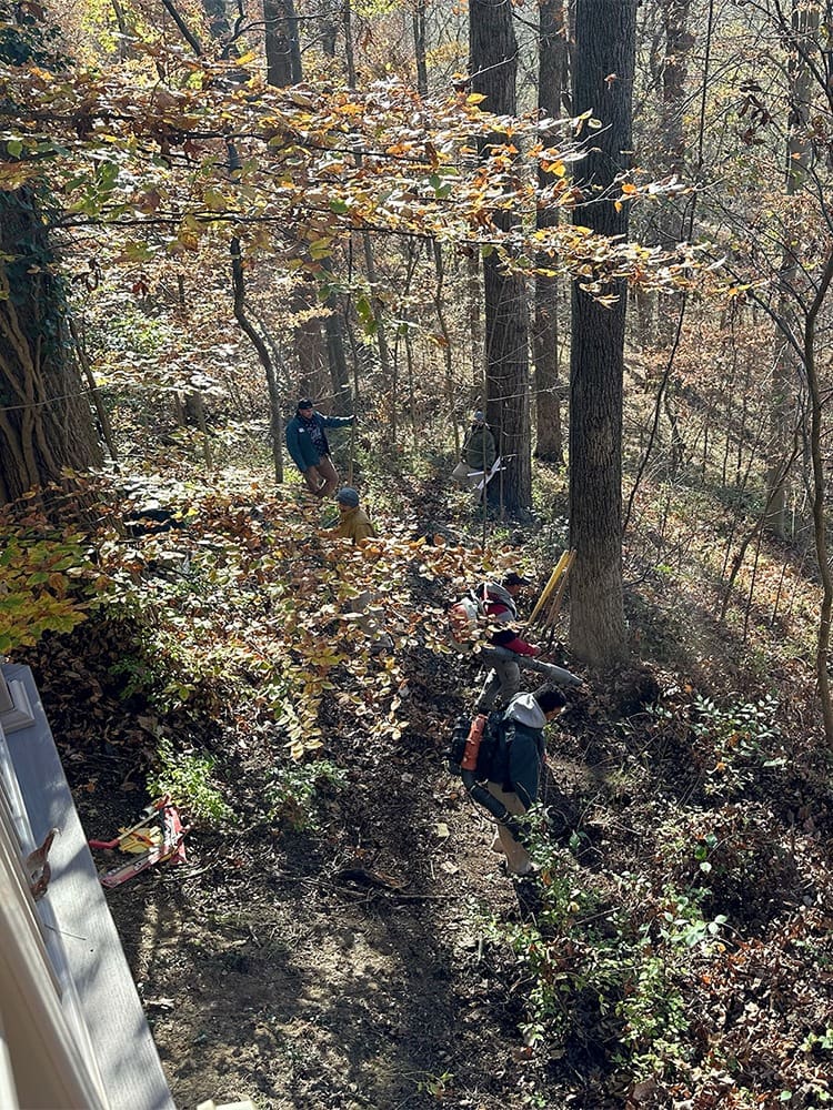 Two people wearing safety helmets and carrying equipment walk through a forested area with tall trees and light underbrush. It's a sunny day, and scattered leaves cover the ground. A ladder leans against a tree on the left side of the image.