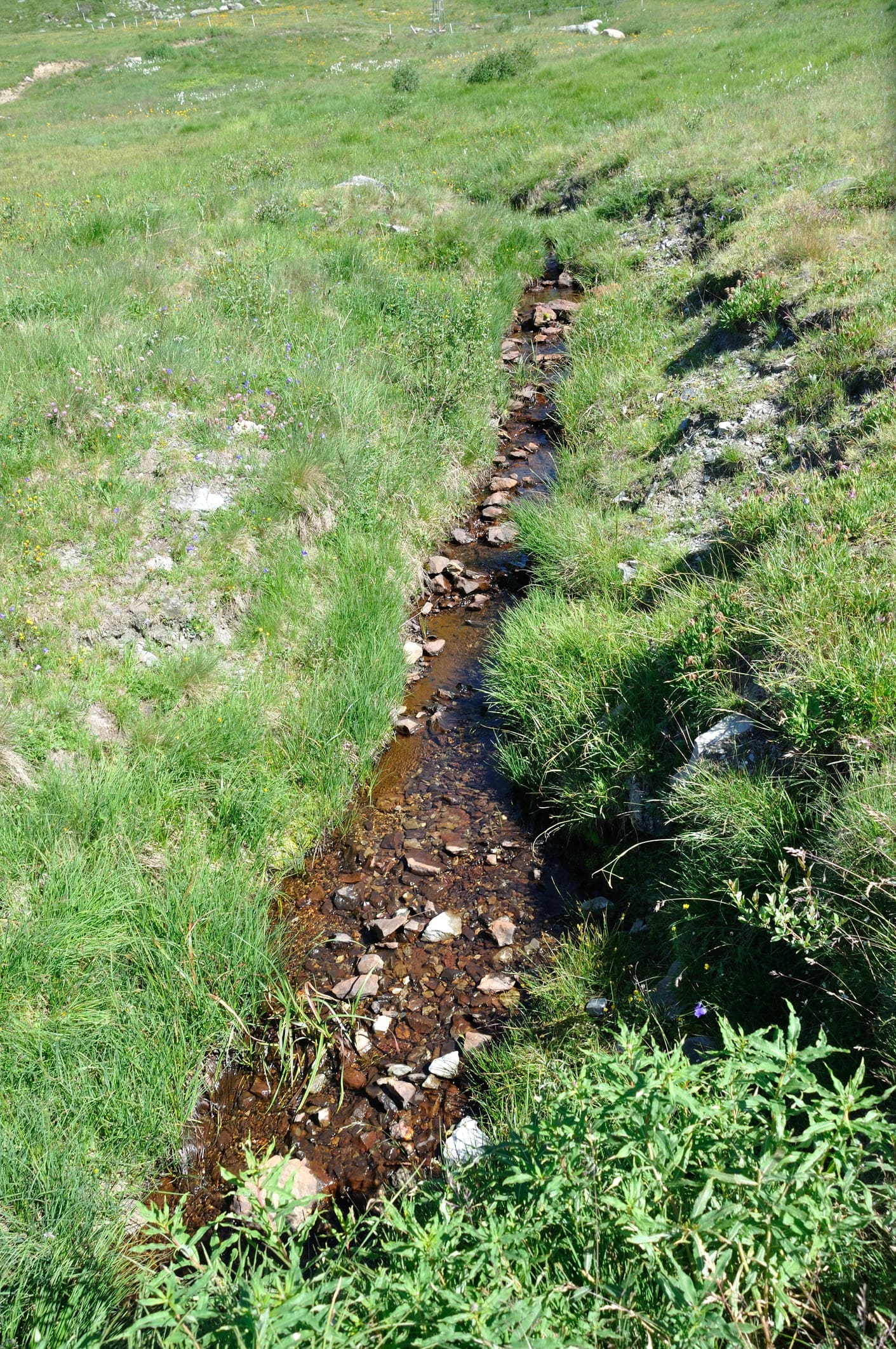 A small, shallow stream runs through a grassy meadow. The water is clear and surrounded by rocks and green vegetation. The landscape is open and sunny, with different shades of green and patches of wildflowers visible.