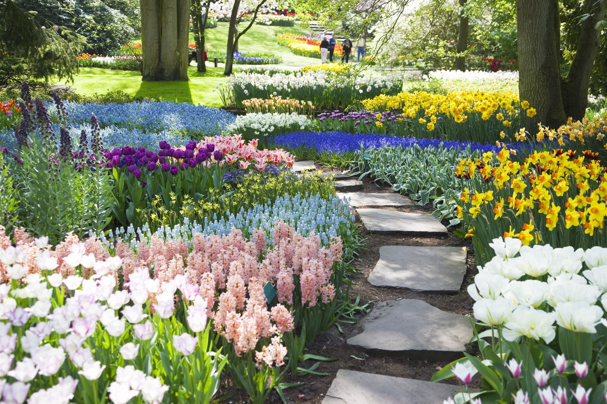 A picturesque garden with a stone pathway winding through vibrant flowerbeds. Blossoms in shades of pink, purple, yellow, white, and blue create a colorful scene. Tall trees provide shade in the background, with people strolling and enjoying the garden.