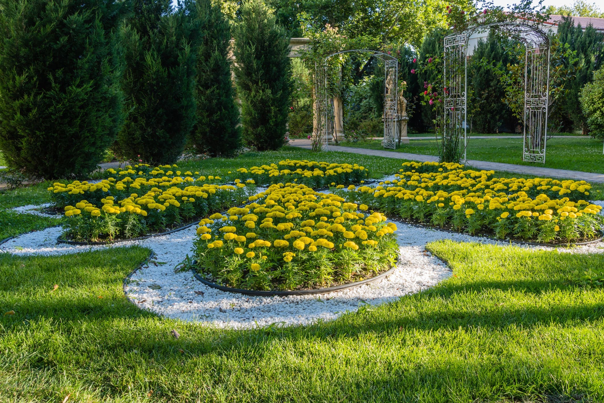 A beautifully landscaped garden with vibrant yellow flowers arranged in intricate patterns surrounded by white gravel paths. In the background, there are tall, dense green shrubs and elegant metal archways covered with vines. The garden is lush and well-maintained.