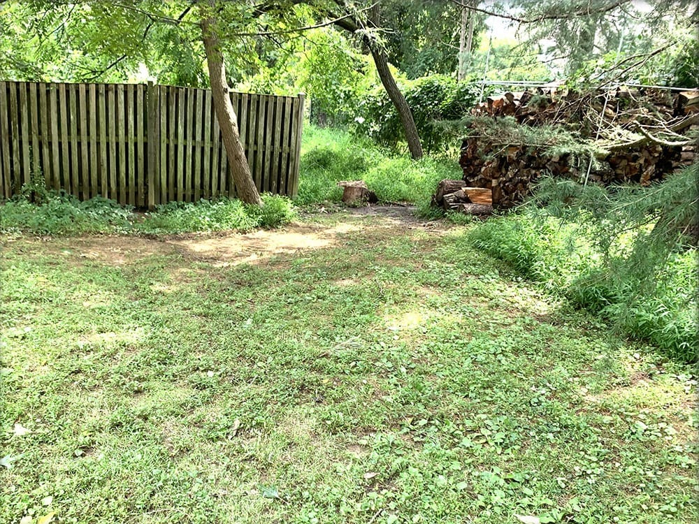 A backyard with a wooden fence on the left and a stack of chopped firewood on the right. The grass is green and there are several trees providing shade. A tree stump is visible near the center of the image. The scene is lush and verdant.