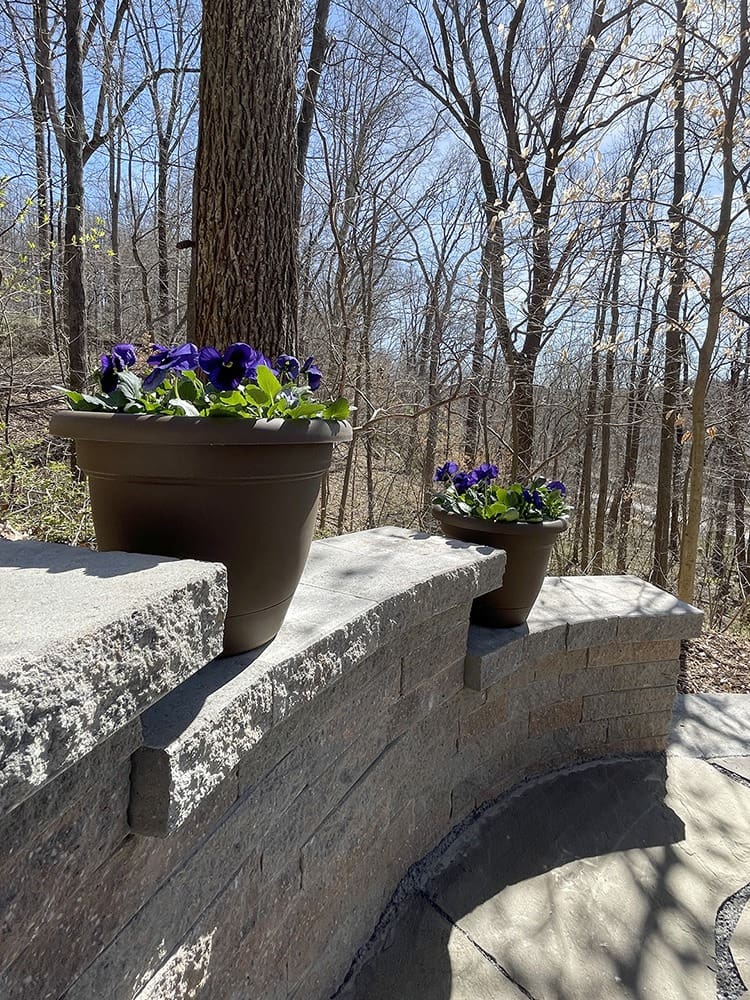 A stone pathway bordered by a low curved wall in a wooded area. Two brown flower pots with purple flowers rest on the wall, with trees showing bare branches in the background under a clear blue sky.