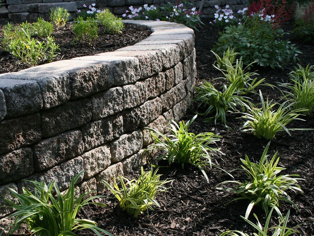 A landscaped garden featuring a curved, stone retaining wall with small, green plants and mulch in the foreground. In the background, there are flowers and additional greenery. The sun casts shadows, highlighting the texture of the stone wall and leaves.